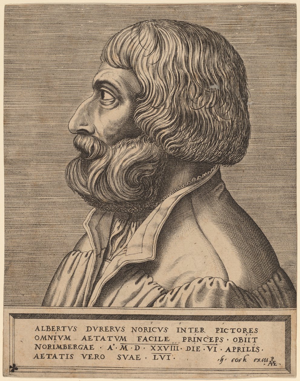 Albrecht Durer de Pieter van der Heyden