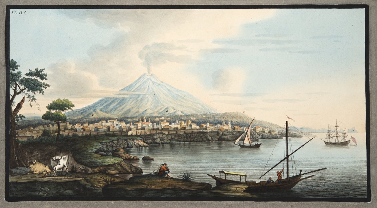Monte Vesubio, lámina 36 de 
