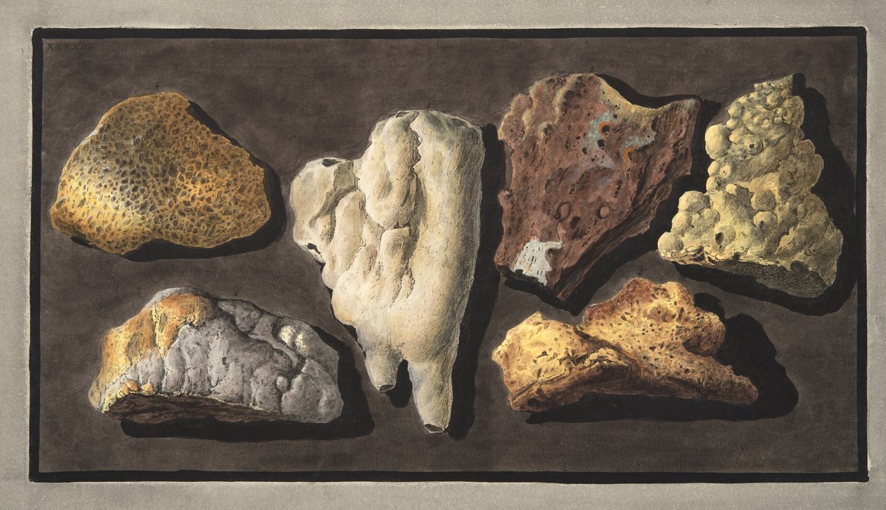 Especímenes de materia volcánica tomada del interior del cráter del Vesubio, Placa XXXXIV, de 