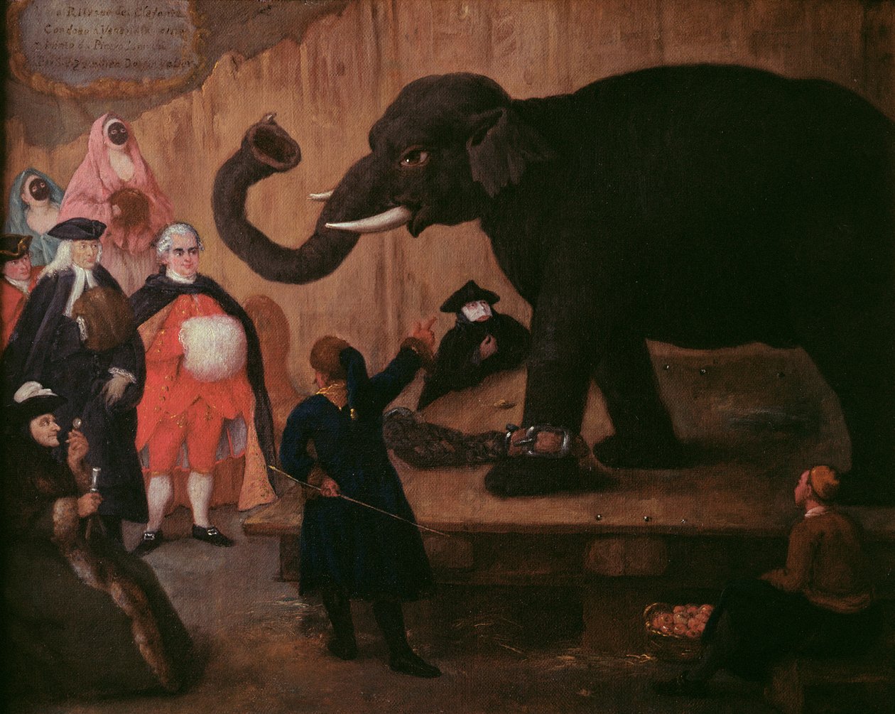 Un elefante mostrado en Venecia de Pietro Longhi