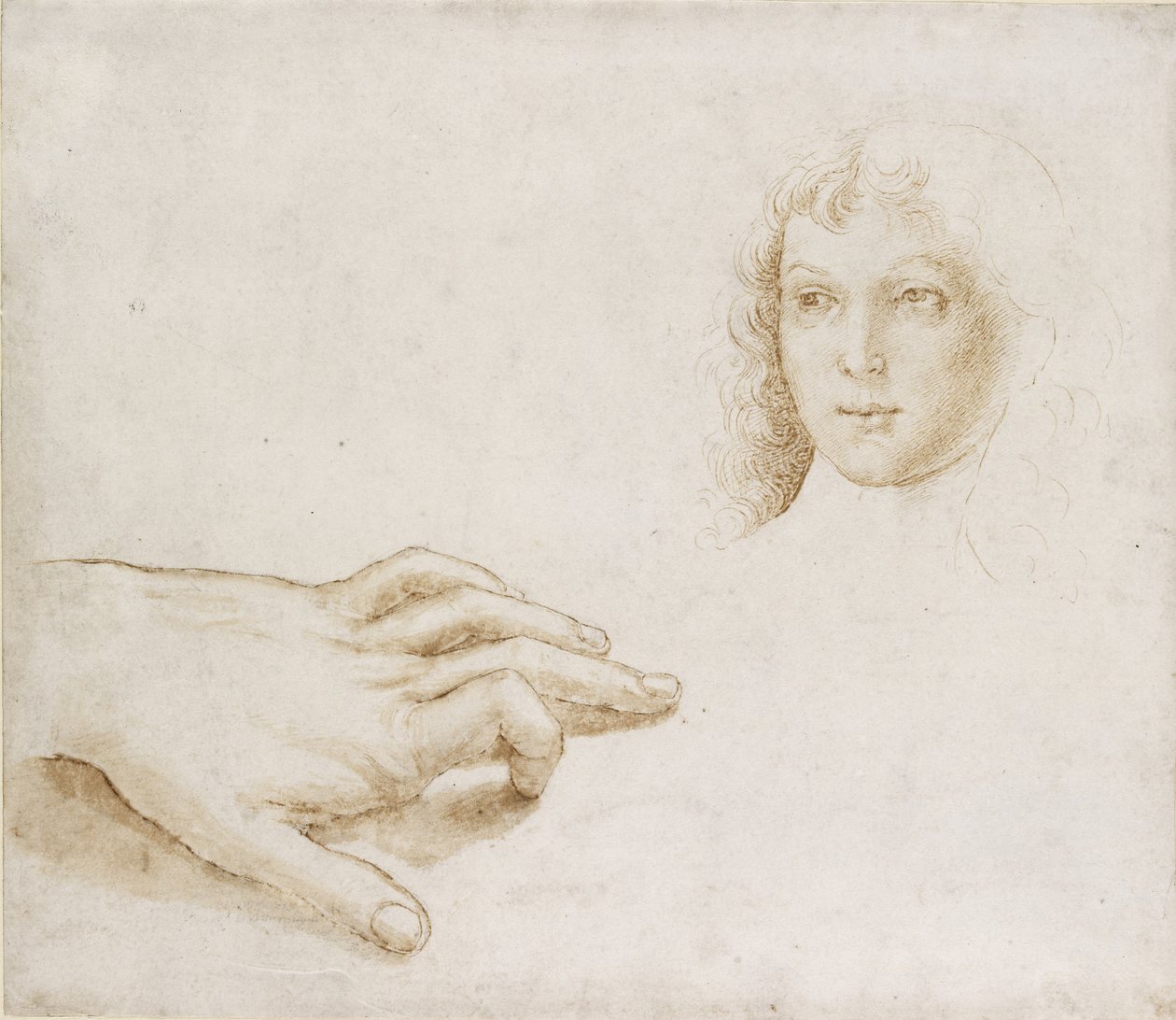 Estudios de una Cabeza y una Mano, WA1846.8 de Pietro Perugino