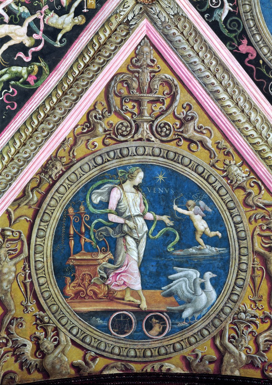 Venus, de la Sala dell