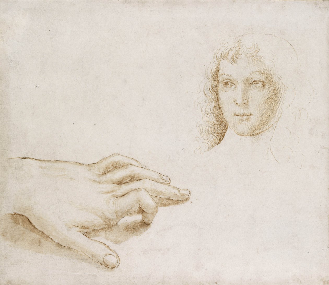 Estudios de una cabeza y una mano de Pietro (circle of) Perugino