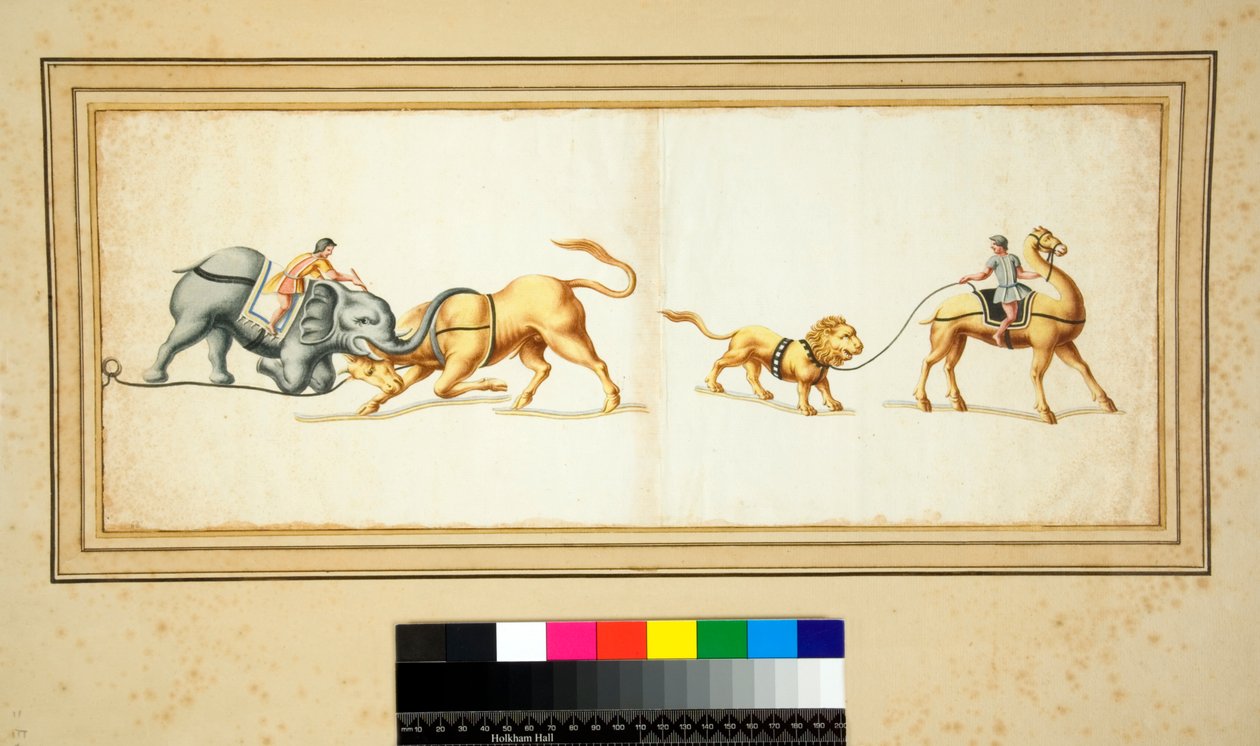 Copia de un mosaico de un elefante luchando contra un toro de Pietro Santi Bartoli