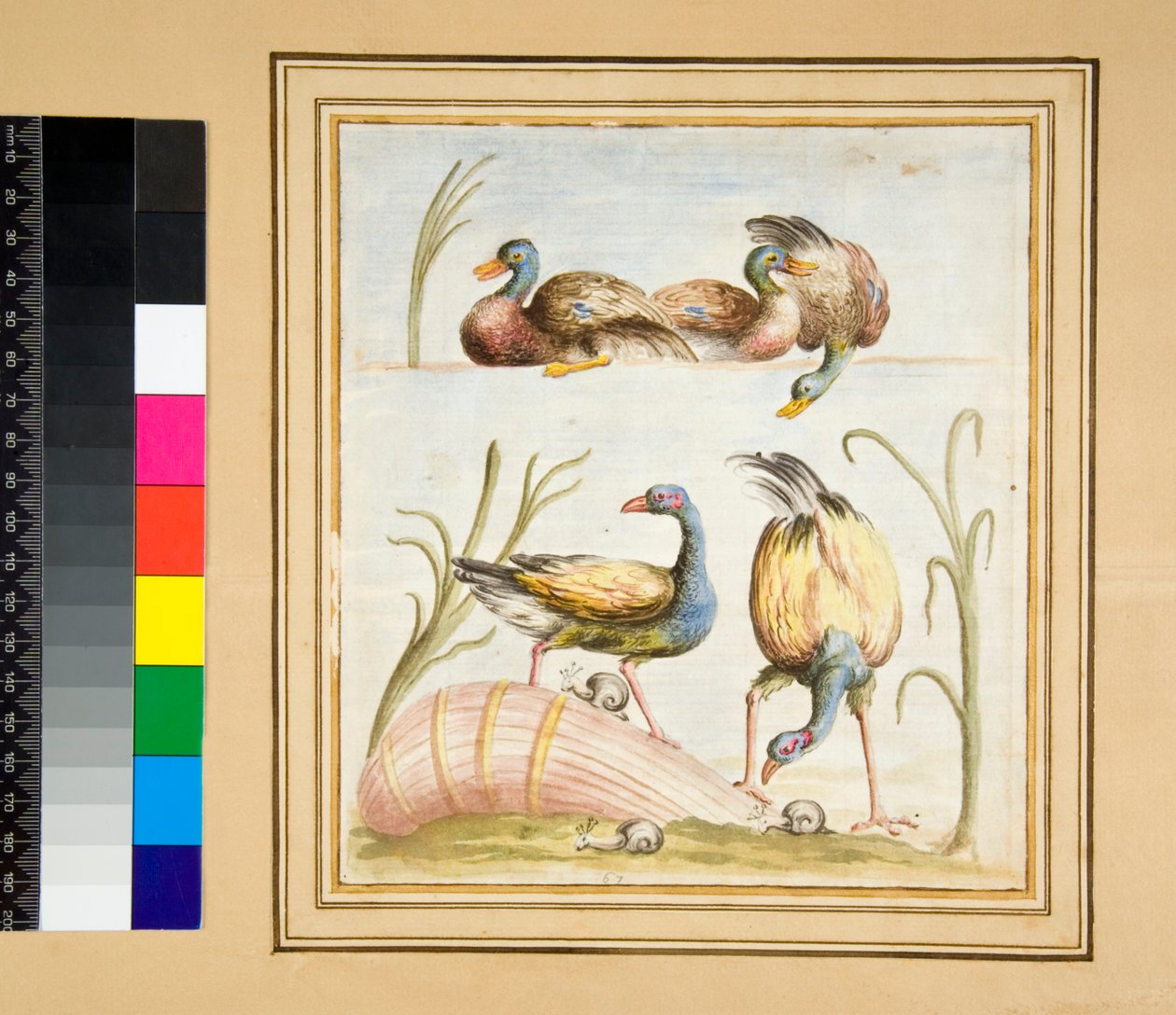Copia de un mosaico con pájaros de Pietro Santi Bartoli