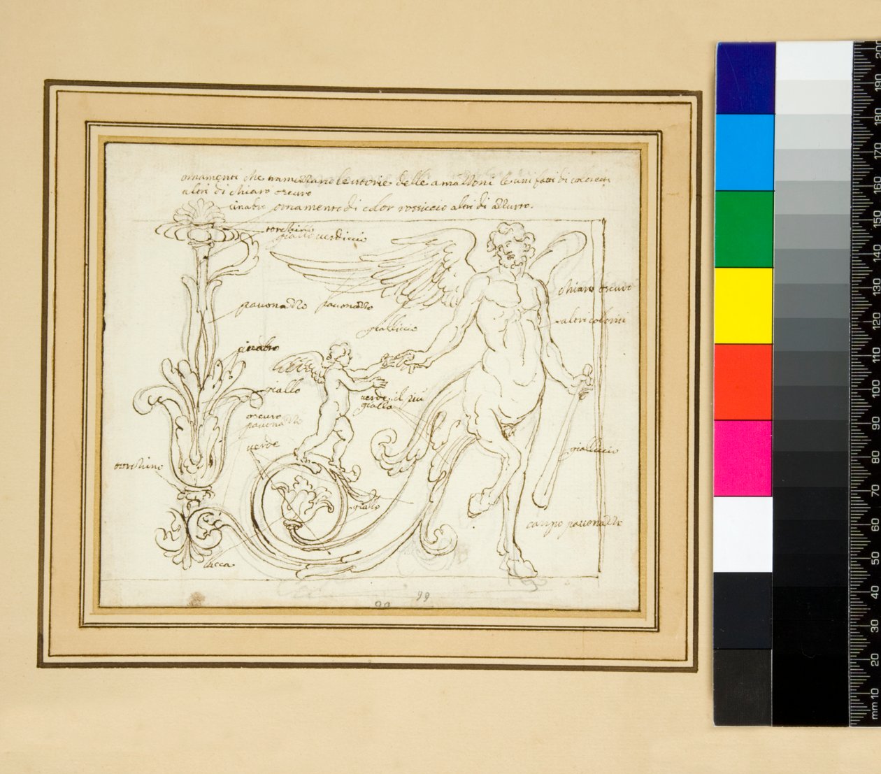 Ornamenti che tramezzano le vitorie delle amazzoni le uni fatti di coloretti altri di chiaro oscuropen de Pietro Santi Bartoli