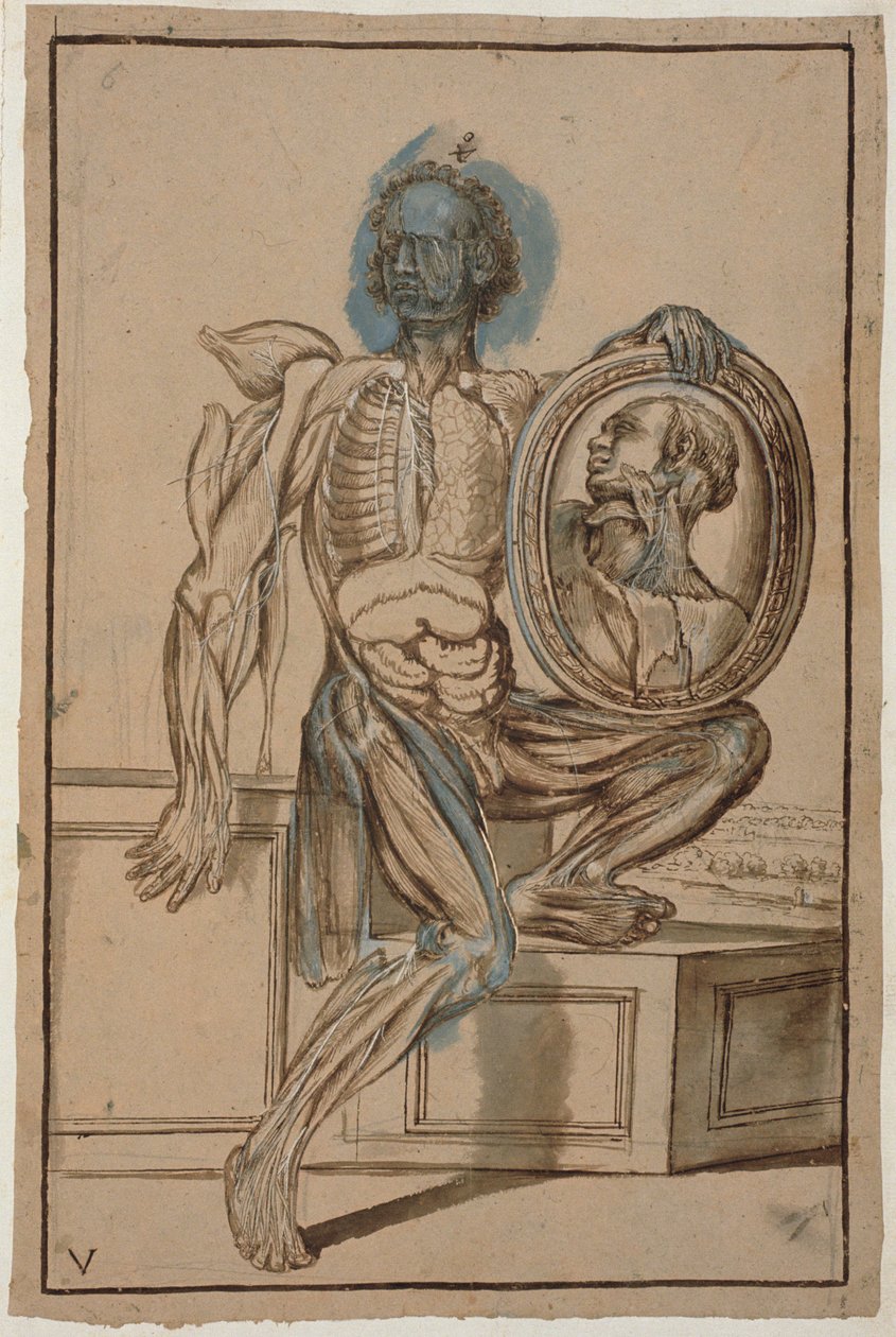 Ms Hunter 653 Placa V Dibujo anatómico, c.1610 de Pietro da Cortona