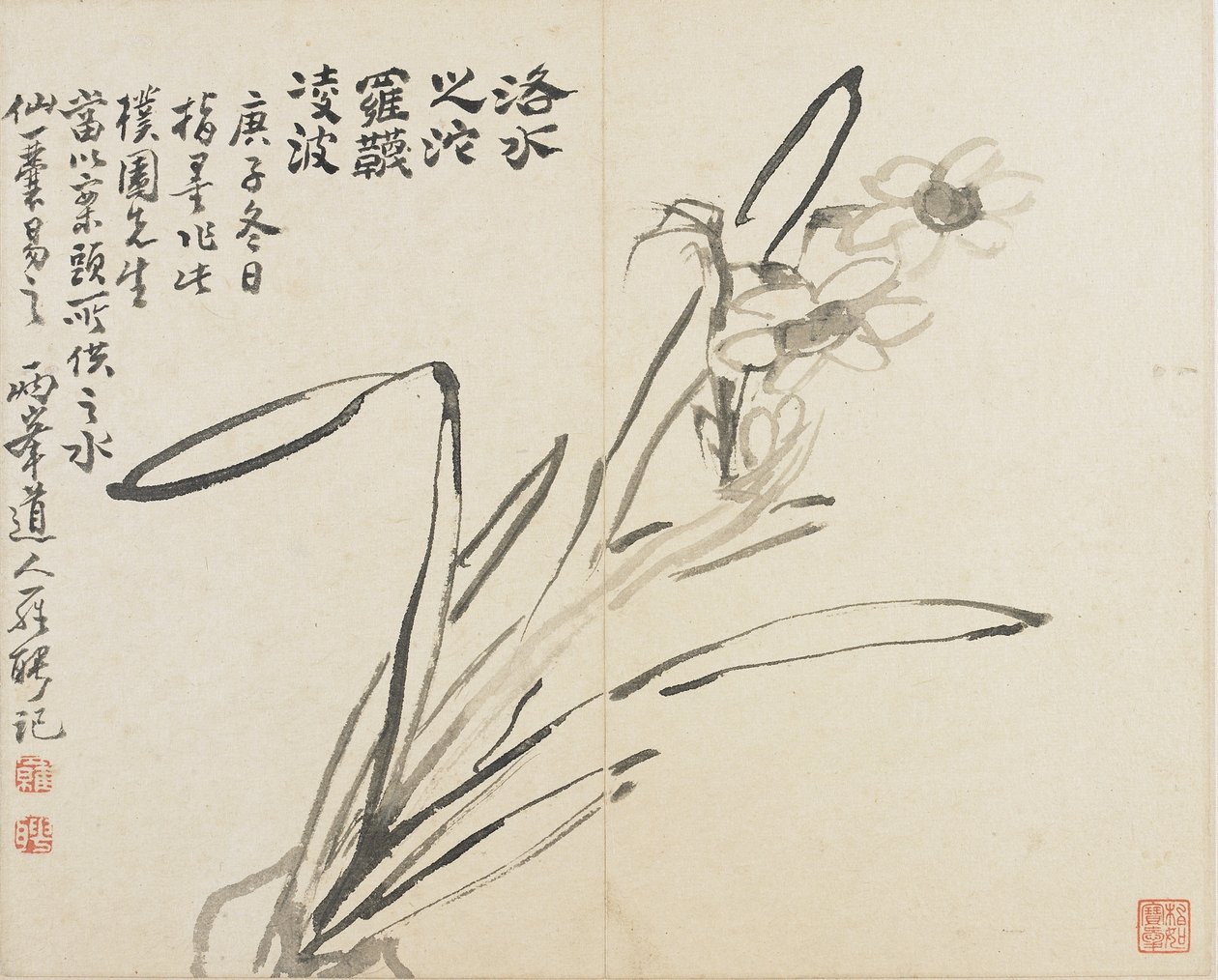 Paisajes, flores y pájaros: Narciso, Dinastía Qing de Luo Ping