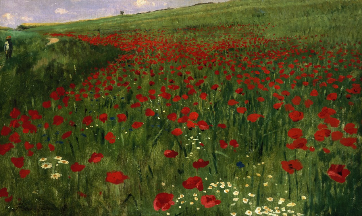 El campo de amapolas, 1896 de Pál Szinyei Merse