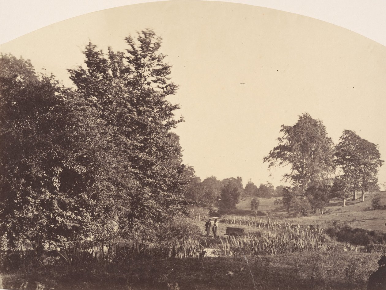 El arroyo del bosque, 1856 de Plunket