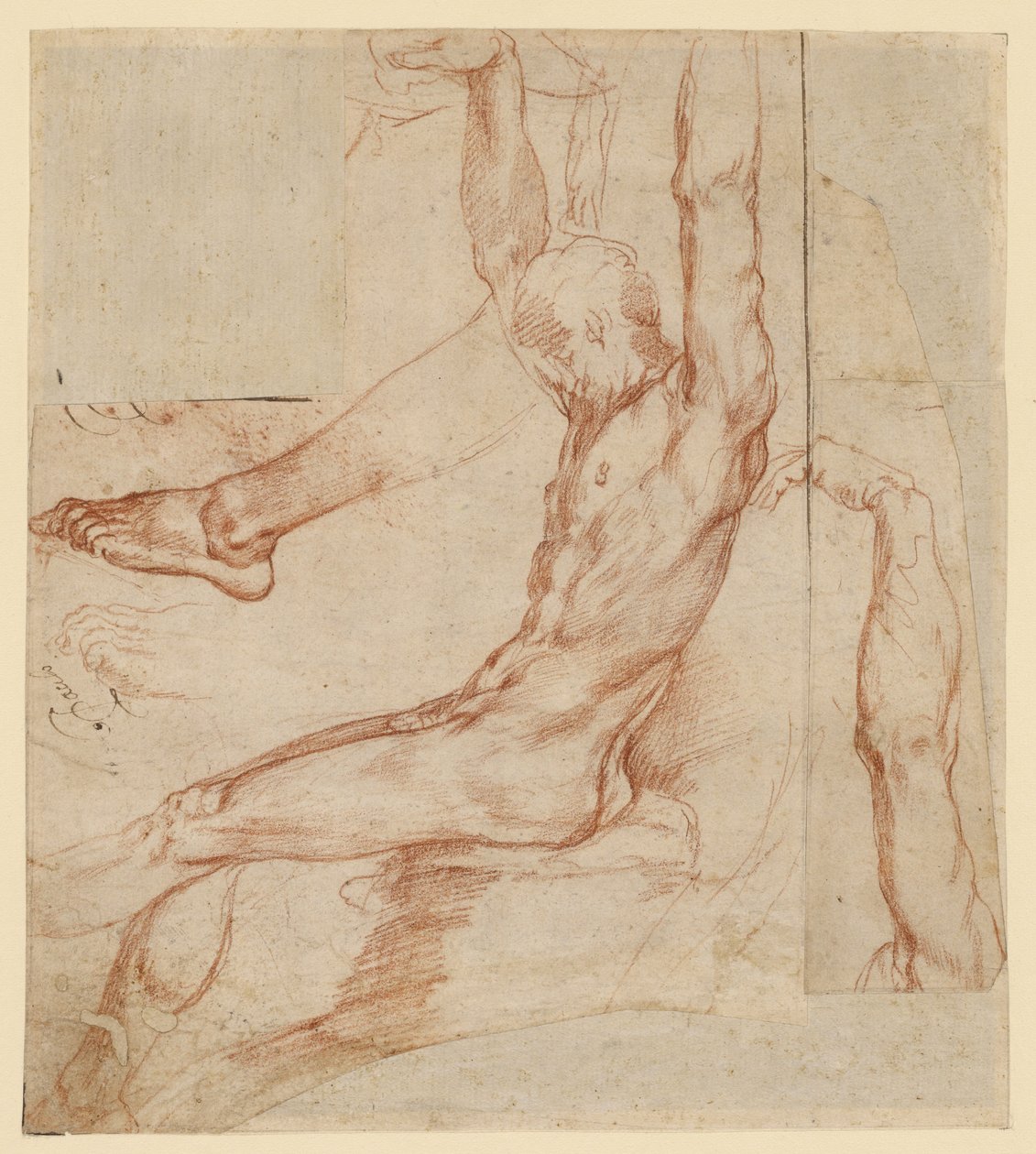 Estudio de un hombre con varios bocetos (anverso); Estudio de la pierna drapeada de un hombre (reverso) de Polidoro da Caravaggio (Polidoro Caldara)