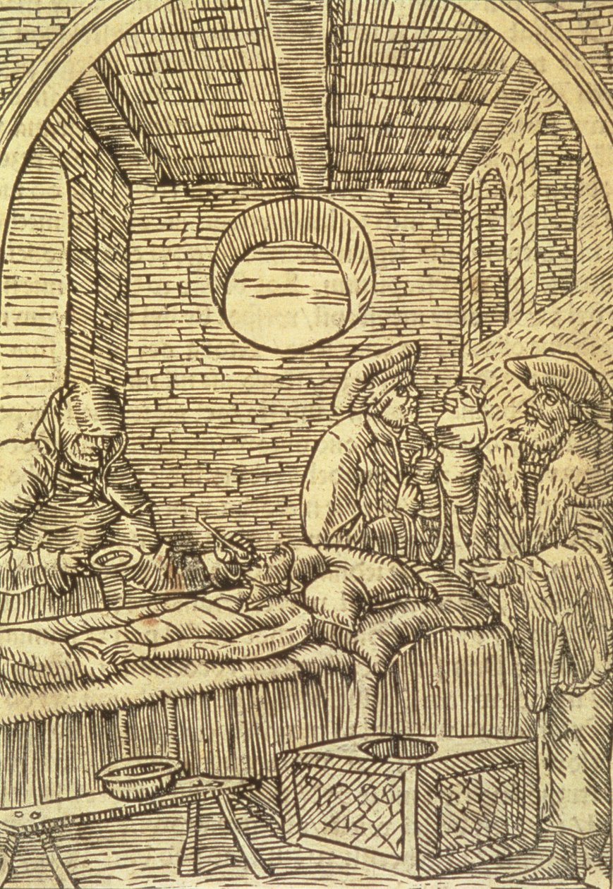 Administración de hierbas medicinales, 1534 de Polish School