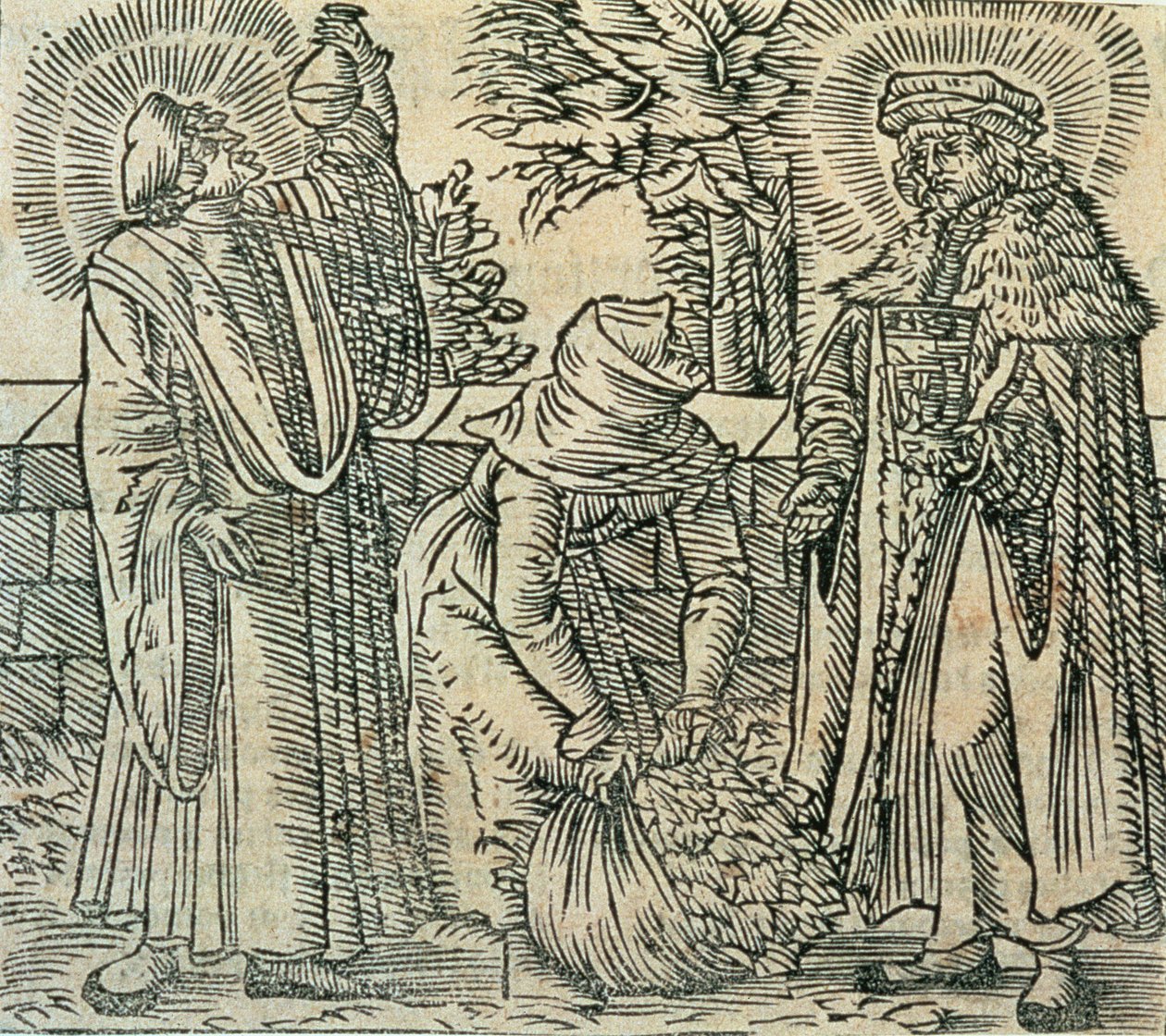 Recolección de hierbas para medicina, 1534 de Polish School