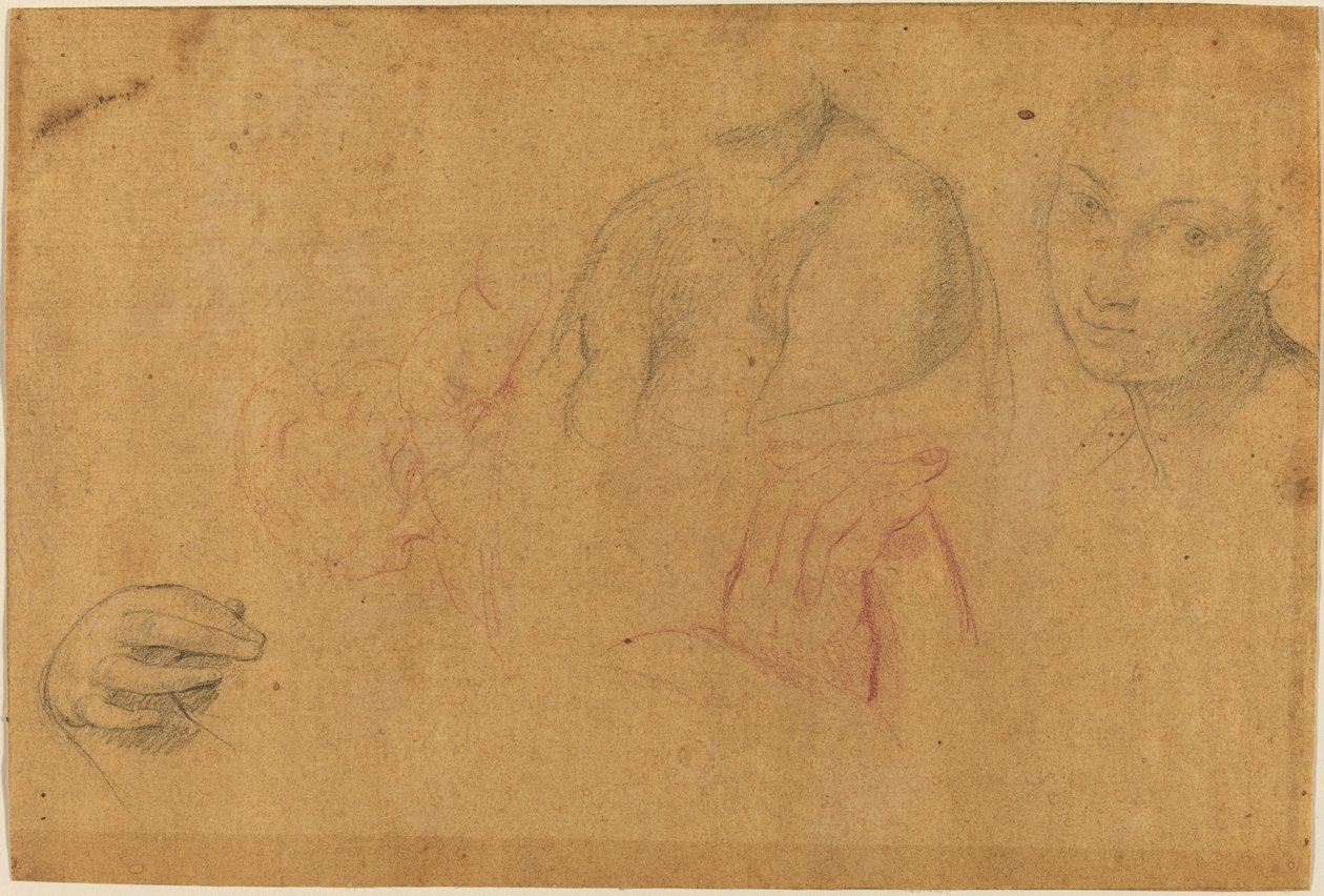 Bocetos de Cabezas y Manos de Pompeo Batoni