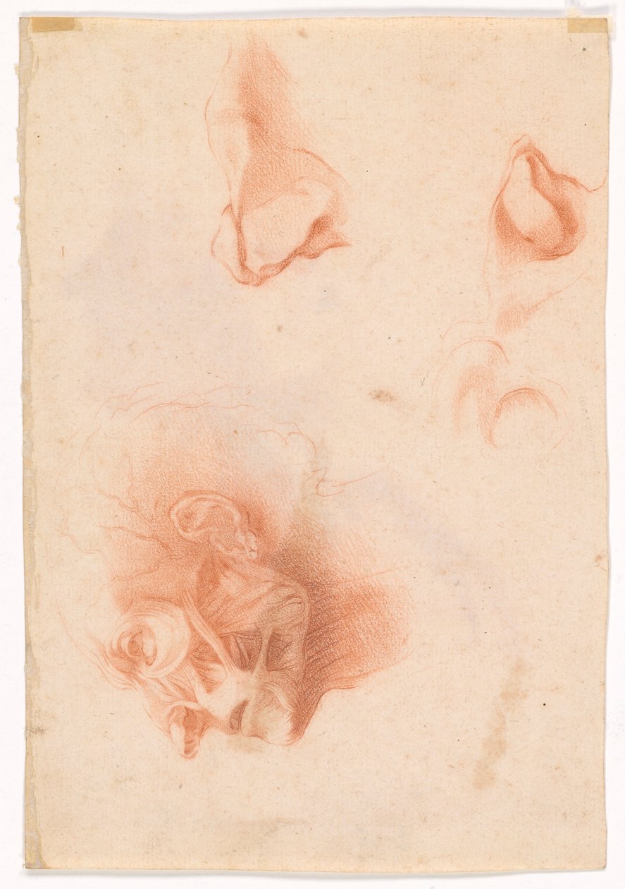 cabeza de un hombre, cara de perfil (anverso); Estudio anatómico, rostro de perfil (verso) de Pompeo Girolamo Batoni