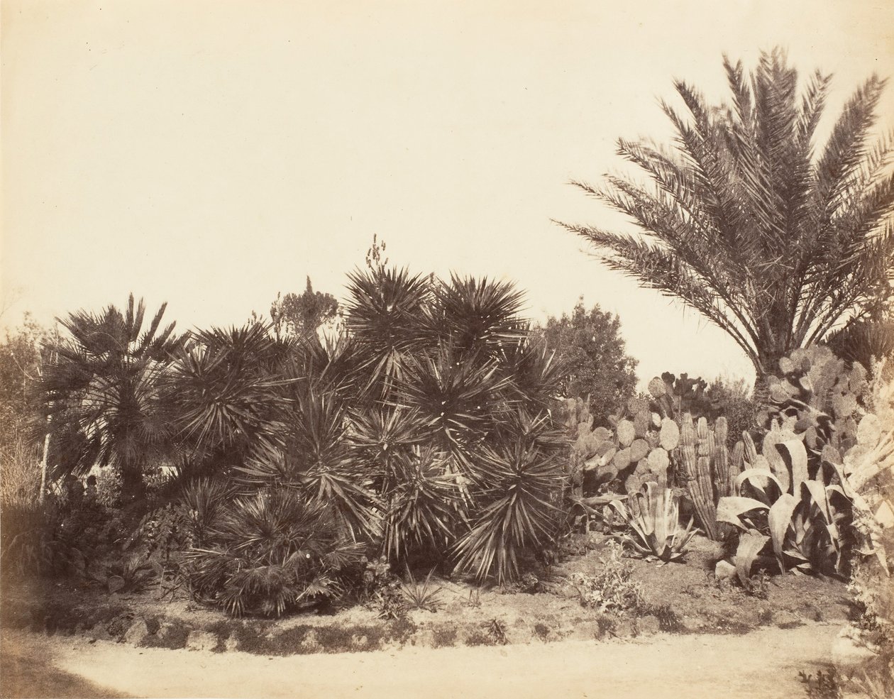 Jardín Pinciano, Roma, 1853-56 de Possibly by Jane Martha St. John.