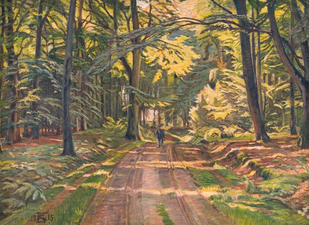 Camino forestal en Dyrnæs de Poul S. Christiansen