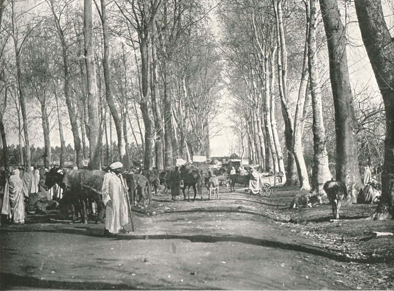 Feria y mercado árabe, Boufarik, Argelia, 1895 de Poulton and Co