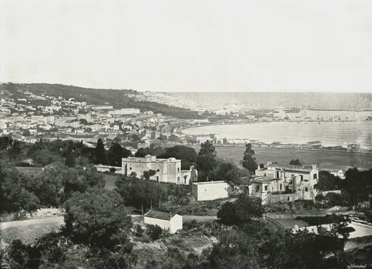 Vista desde el Mustafa, Argel, Argelia, 1895 de Poulton and Co