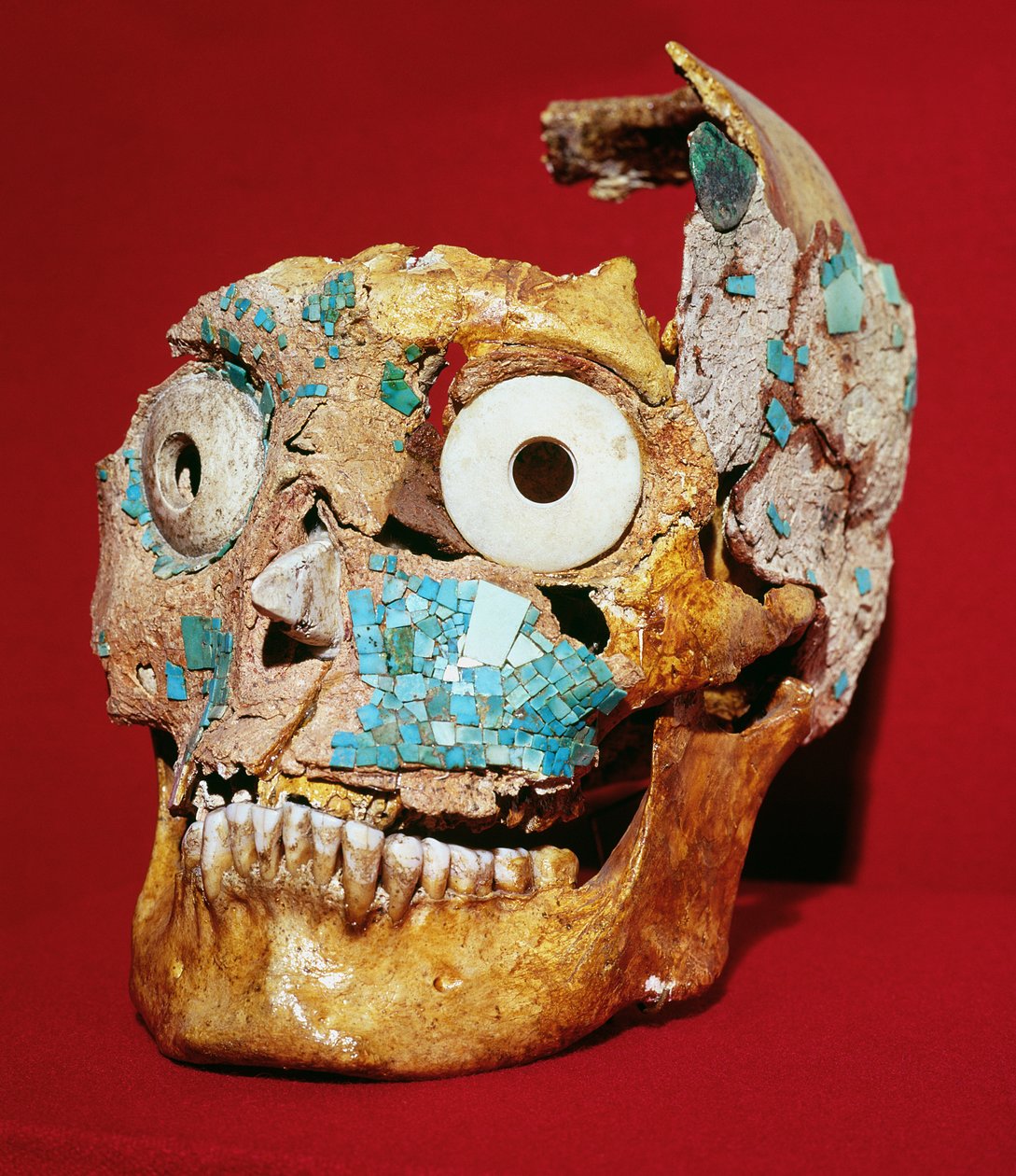 Calavera decorada con un mosaico en turquesa y marfil, Mixteca, de la Tumba 7, Monte Albán, 1300-1450 de Pre Columbian