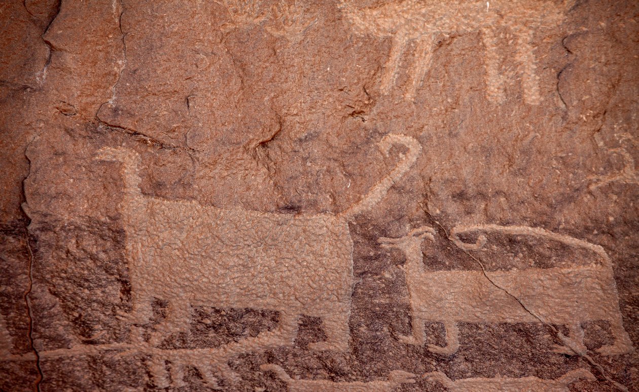 Petroglifos, Parque Histórico Nacional de la Cultura Chaco, 2014 (foto) de Precolombian Precolombian