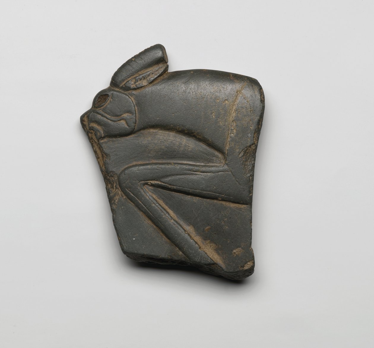 Fragmento de una paleta, Alto Egipto, c.3300-3100 a.C. de Predynastic Period Egyptian