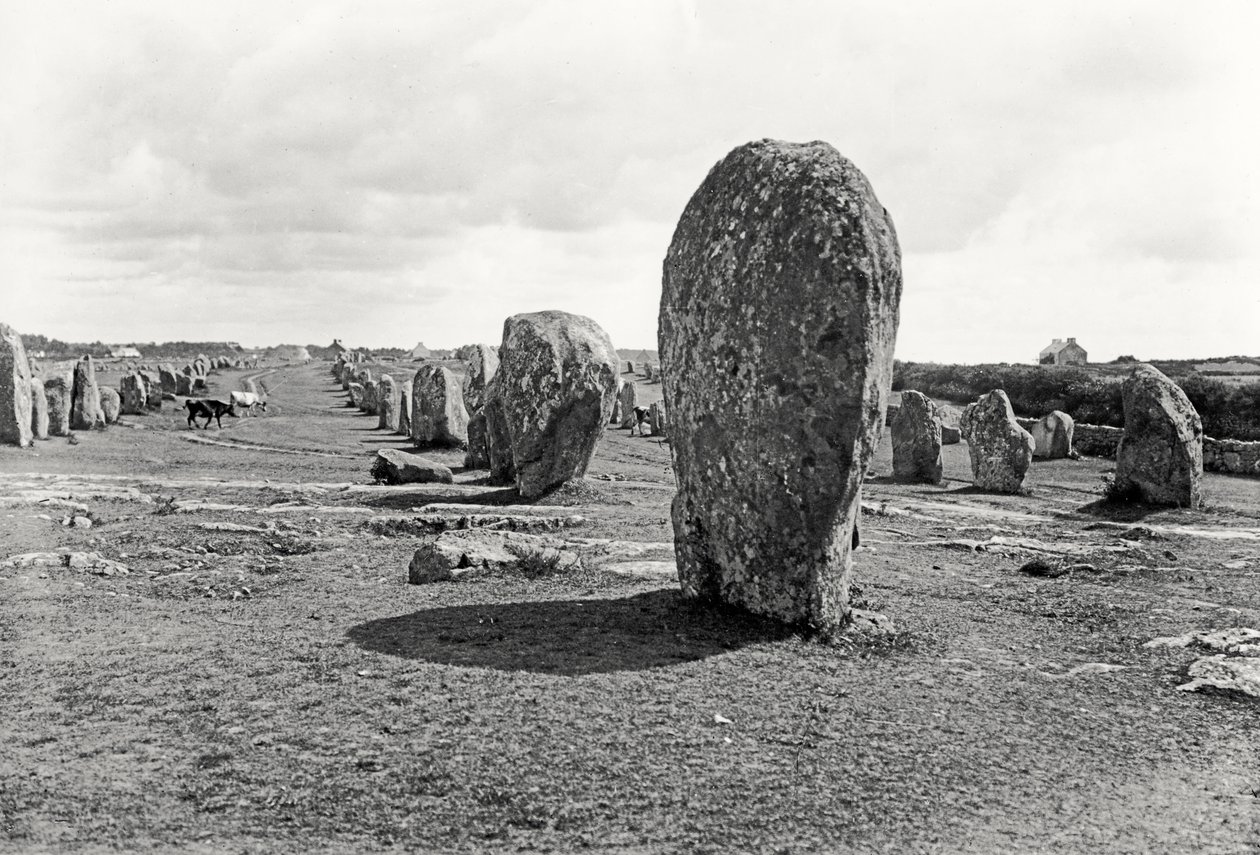 Alineación de piedras de pie, megalíticas, 4º-3º milenio a.C. de Prehistoric