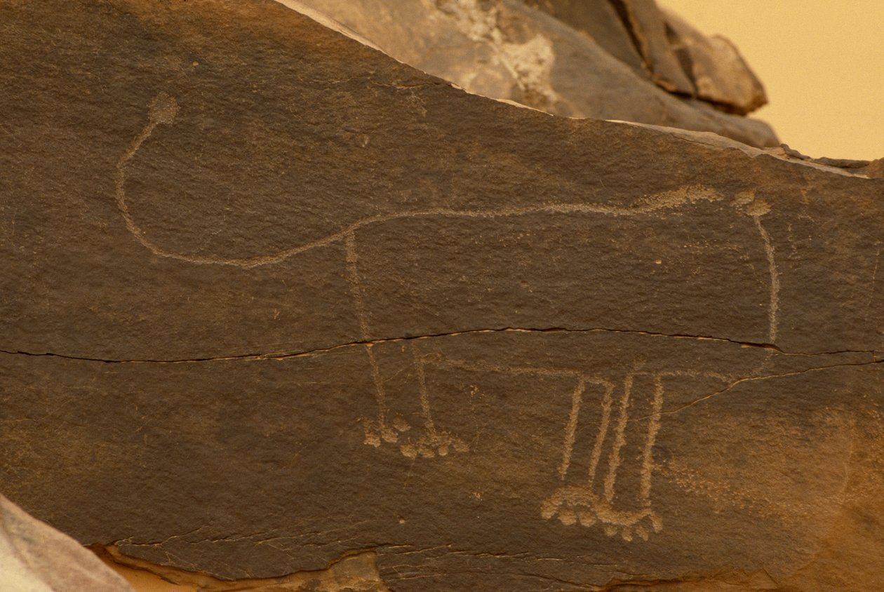 Animal de Prehistoric
