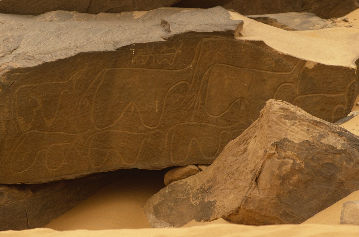 Animales (grabado rupestre) de Prehistoric
