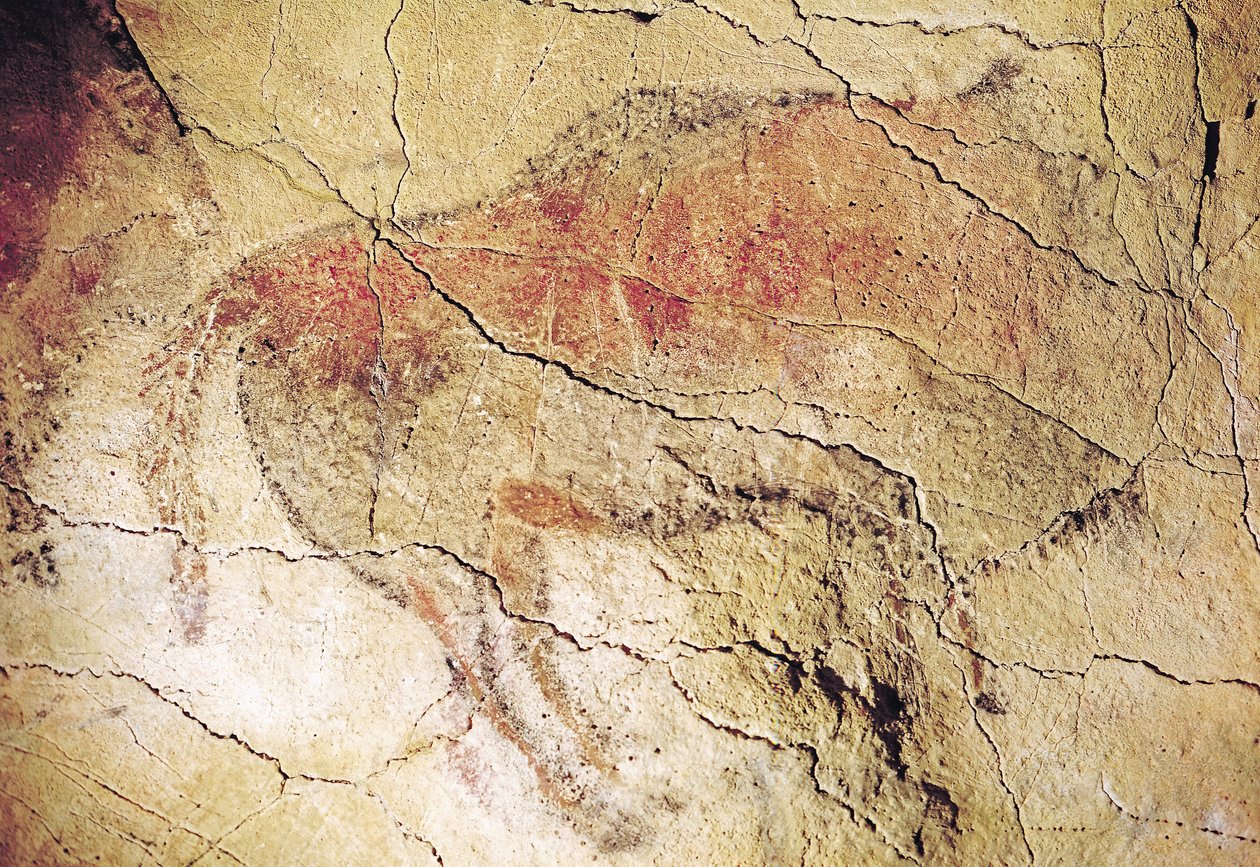 Bisonte de las cuevas de Altamira, c.15000 a.C. (pintura rupestre) de Prehistoric