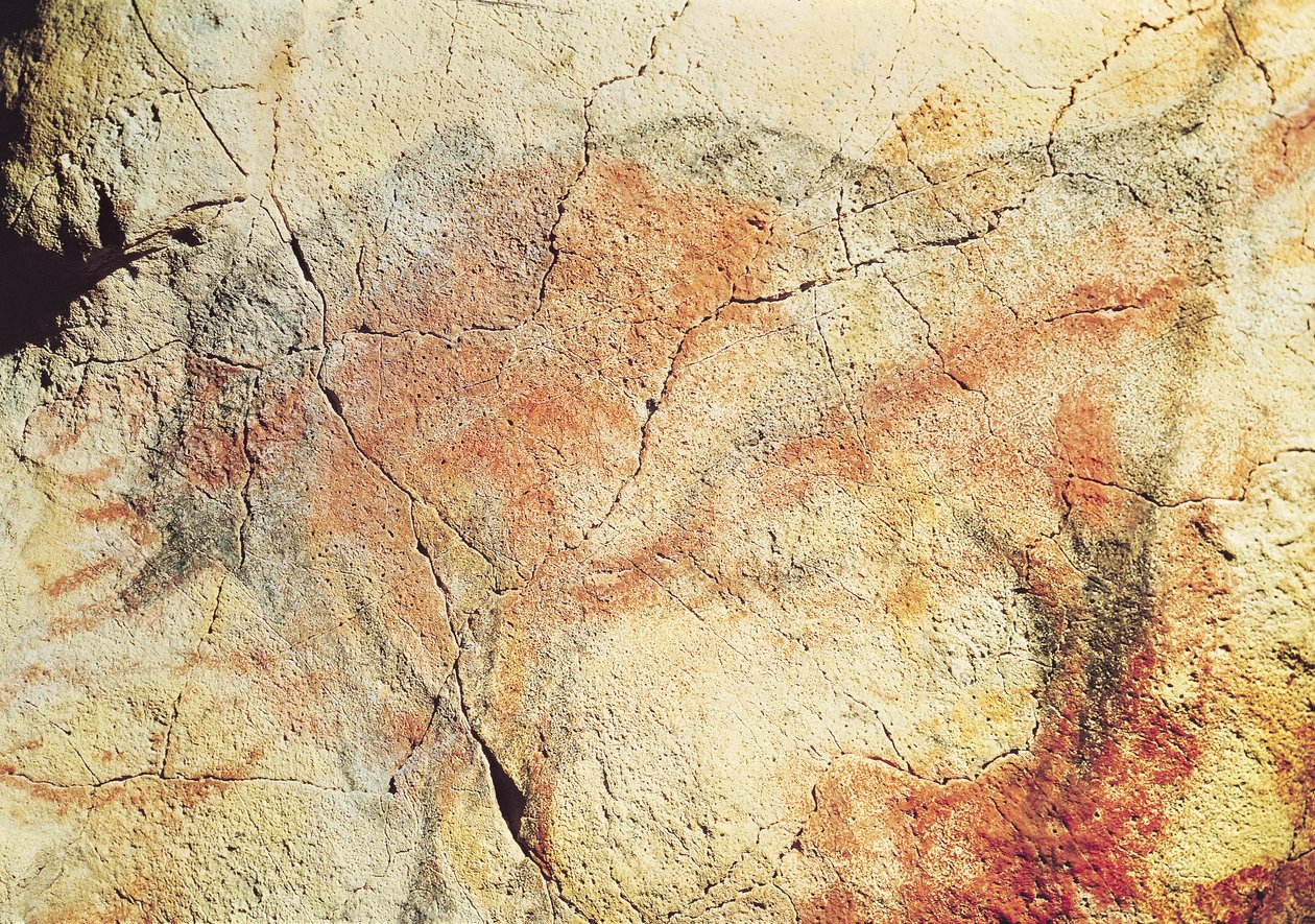 Bisonte, de las Cuevas de Altamira, c.15000 a.C. de Prehistoric