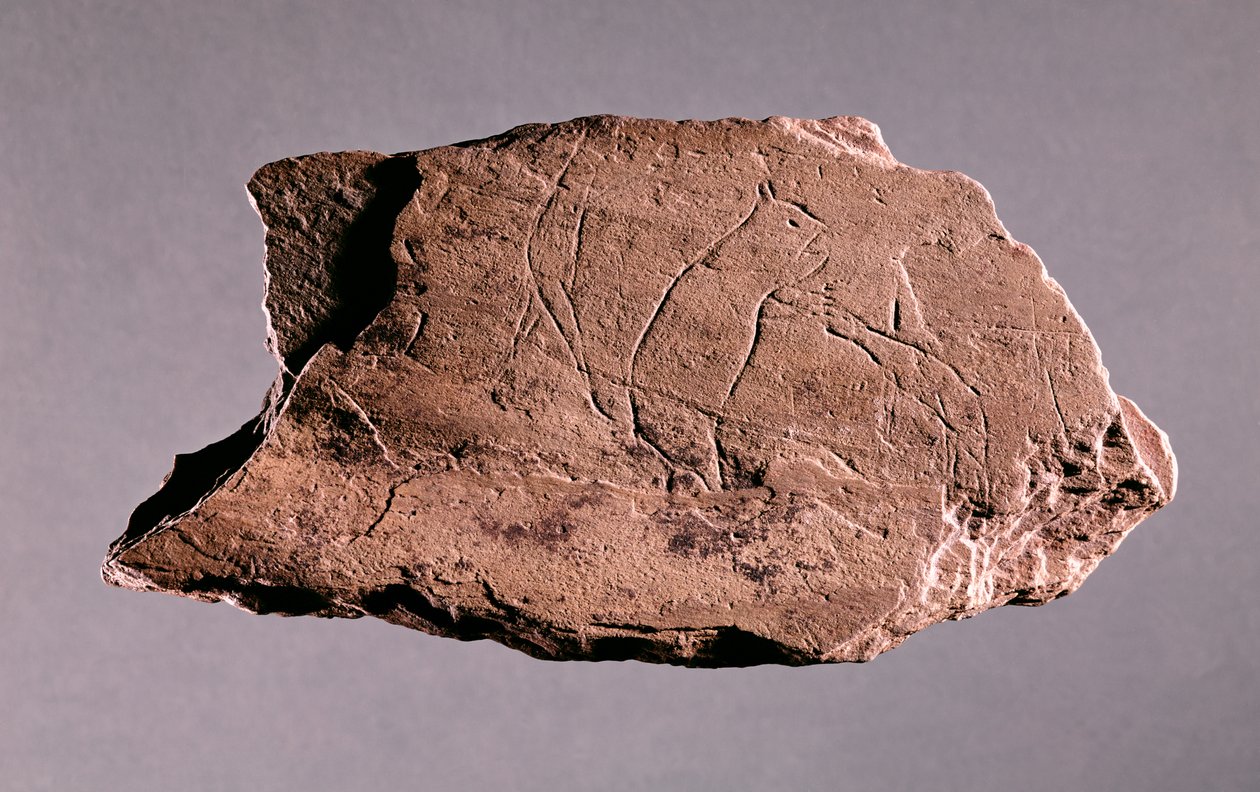 Guijarro que representa a un hombre siendo atacado por un oso, de Pechialet, Dordoña de Prehistoric