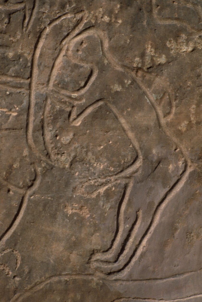 Figura humana y cabeza de toro (grabado rupestre) de Prehistoric
