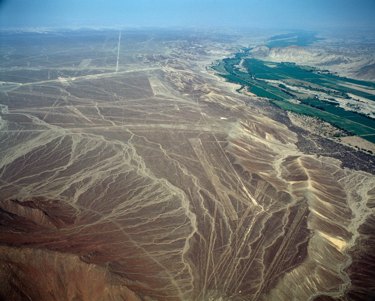 Vista aérea de las Líneas de Nazca representando una figura de pájaro de Prehistoric Prehistoric