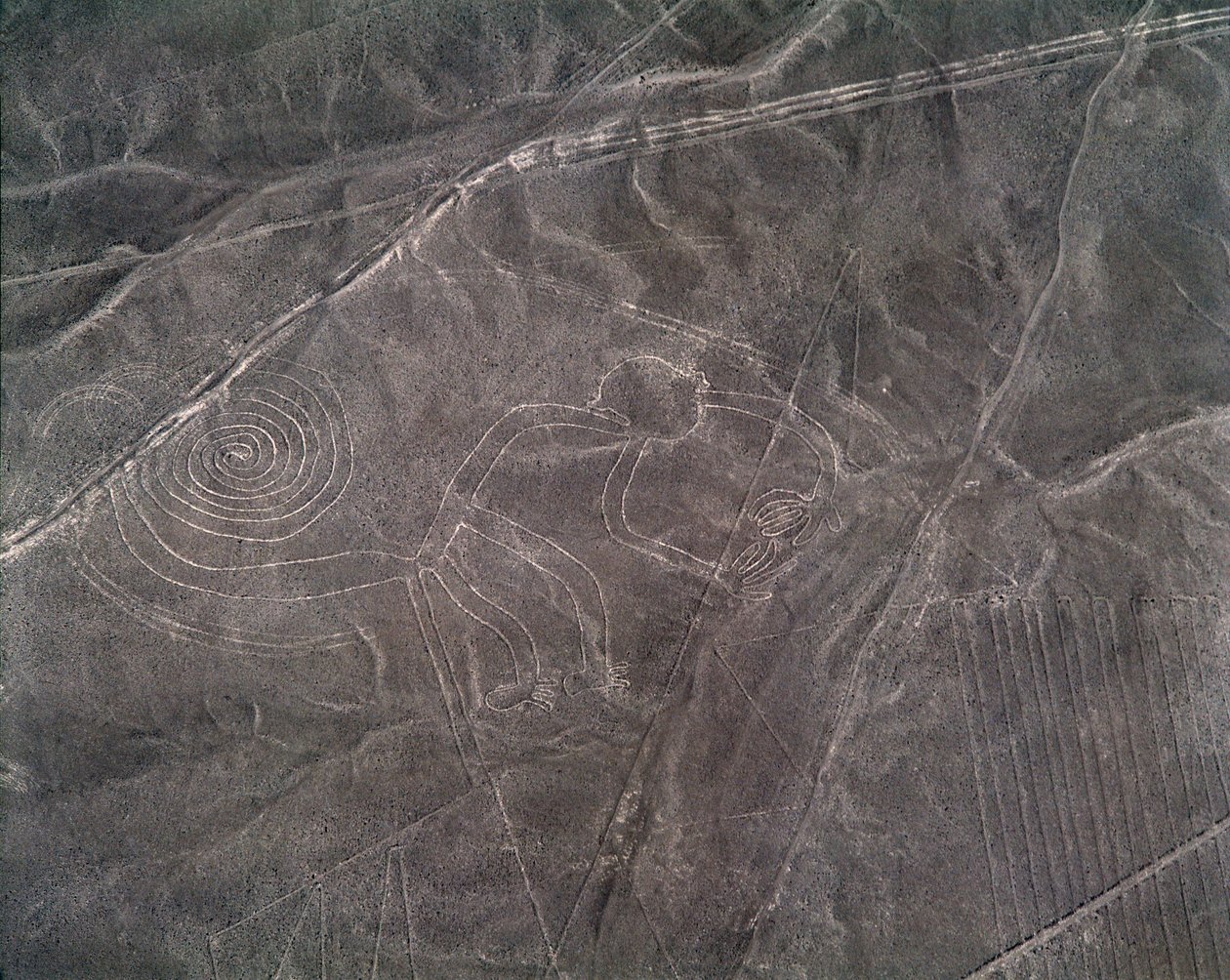 Vista aérea de una figura de mono, Líneas de Nazca de Prehistoric Prehistoric