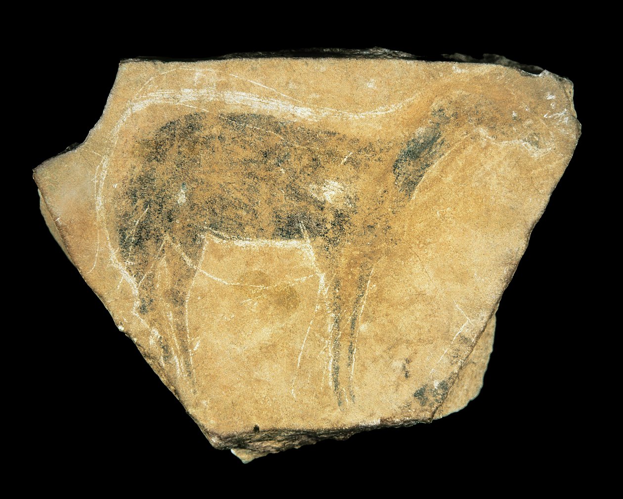 Cierva negra, Cueva de Parpalló, España, Paleolítico Superior (pintura) de Prehistoric Prehistoric