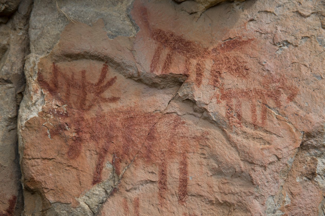 Pintura rupestre, Bosque Nacional Salmon-Challis (foto) de Prehistoric Prehistoric