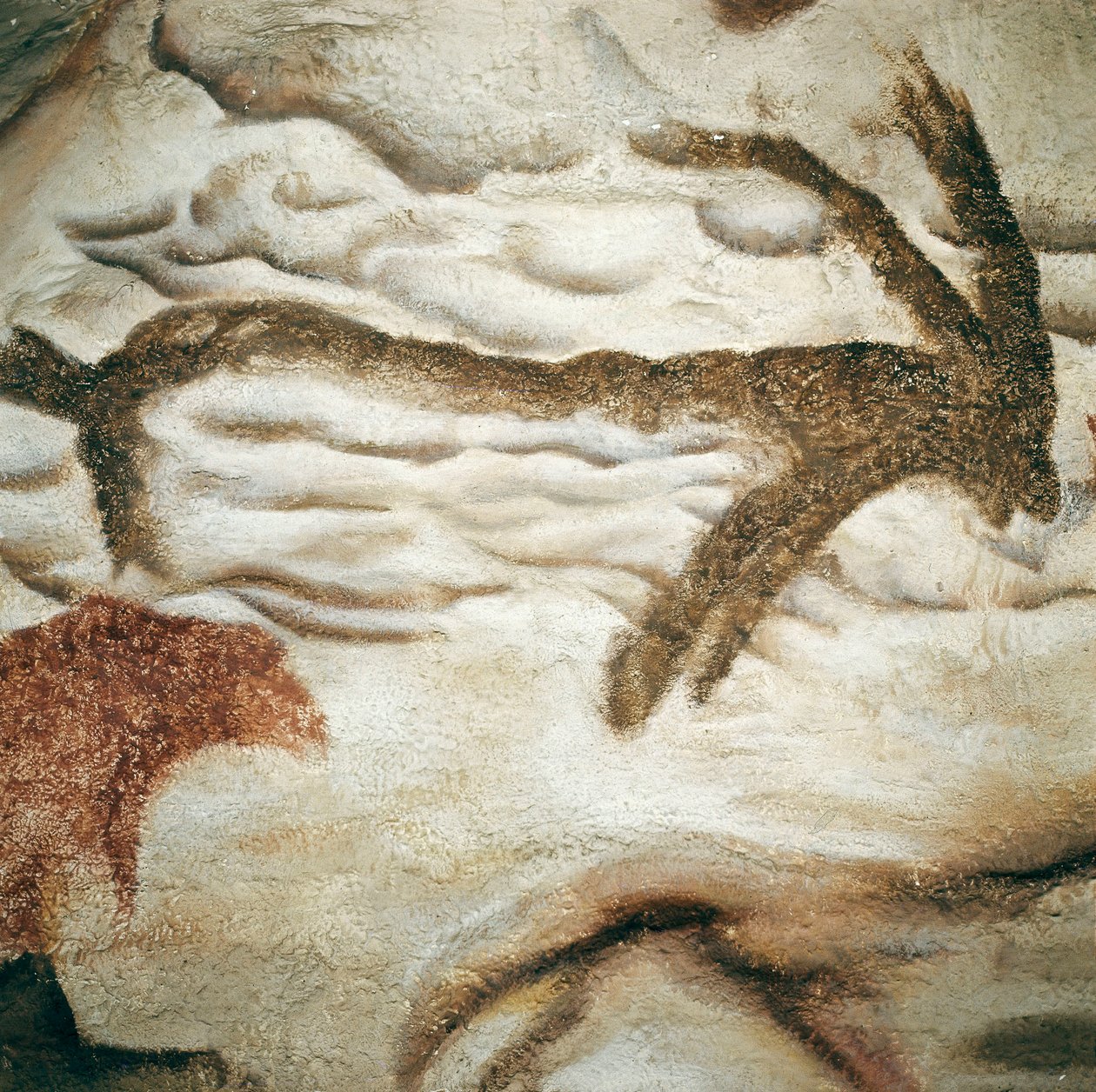 Pintura rupestre de cérvido, Cueva de Lascaux, Dordoña, Francia, Paleolítico Superior (Magdaleniense) c. 13000 años atrás de Prehistoric Prehistoric