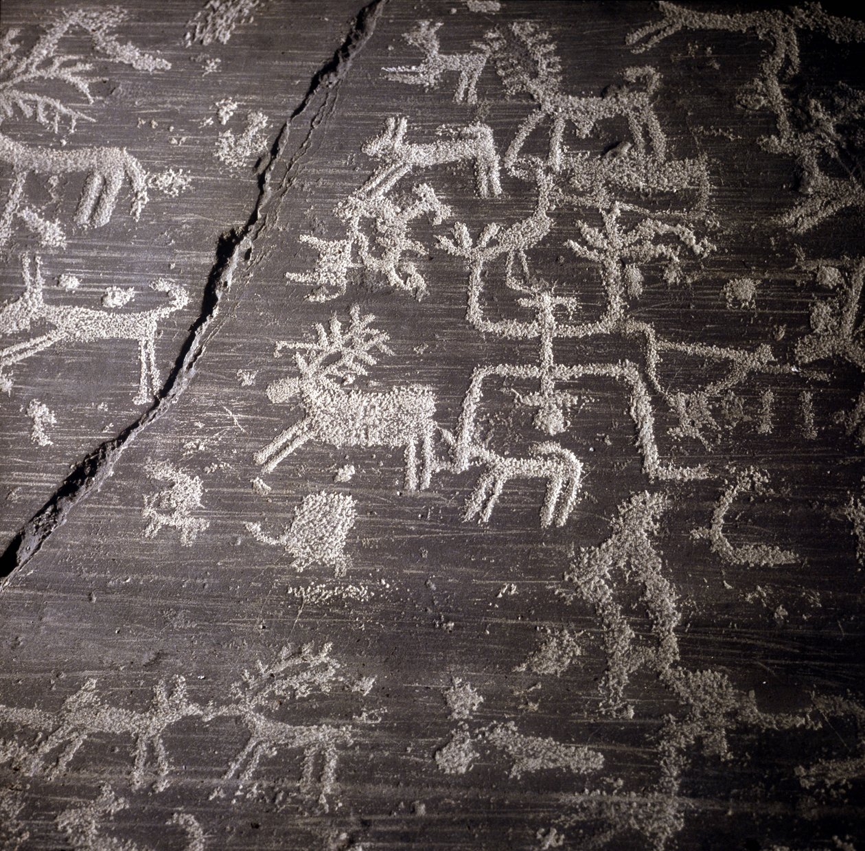 Civilización de los Camunni, Prehistoria, arte rupestre: roca funeraria, detalles de la gran roca de Naquane, en Valcamonica. Museo arqueológico de Milán de Prehistoric Prehistoric