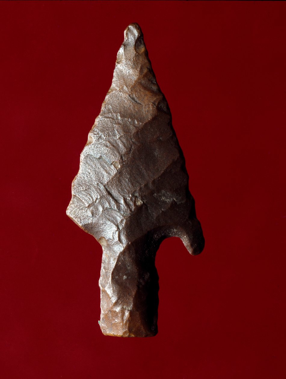 Antigüedad egipcia: punta de flecha del sitio de Fayoum en Egipto. Período predinástico. Verona, Museo Civico di Storia Naturale, Italia de Prehistoric Prehistoric