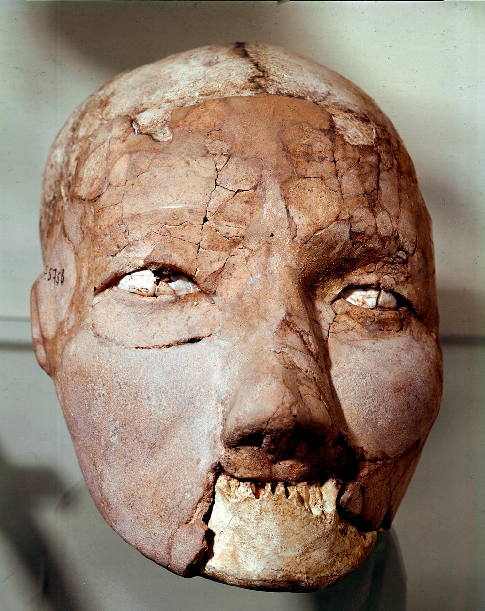 Arte neolítico: cráneo humano que data de la Edad de Piedra (6000-4000 a.C.). De Jericó, Museo Arqueológico, Amán, Jordania de Prehistoric Prehistoric