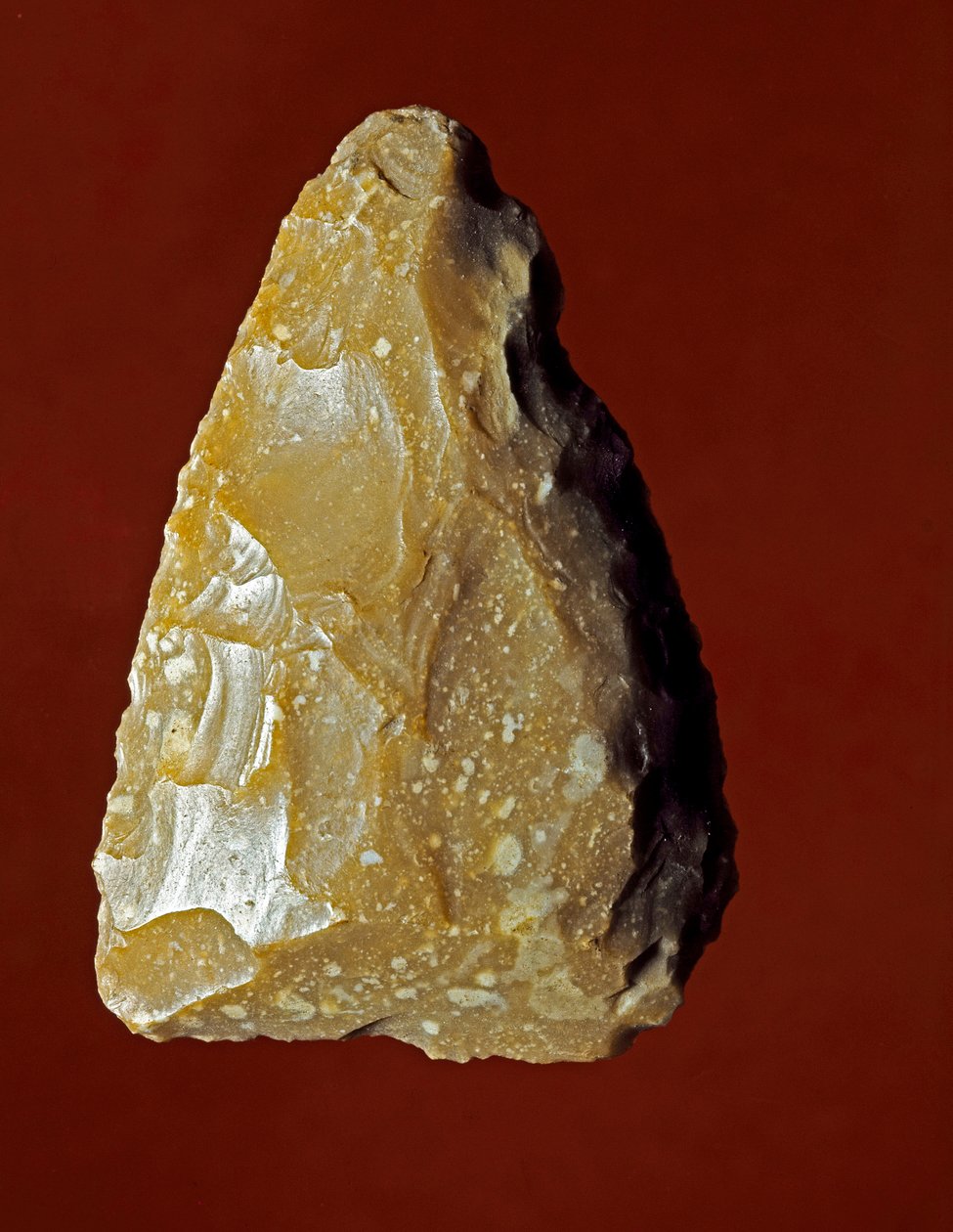 Prehistoria: herramienta de fabricación lítica de la cultura Campignana, Gargano, Italia. Calcolítico. Verona, Museo Civico di Storia Naturale, Italia de Prehistoric Prehistoric