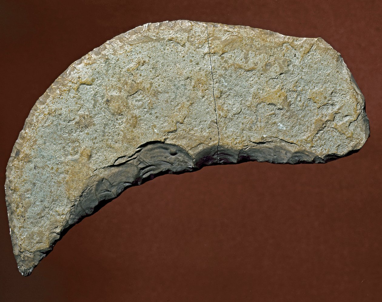 Prehistoria: herramienta tipo chopper de fabricación lítica de Kjokkenmoddinger, Dinamarca. Paleolítico. Verona, Museo Civico di Storia Naturale, Italia de Prehistoric Prehistoric
