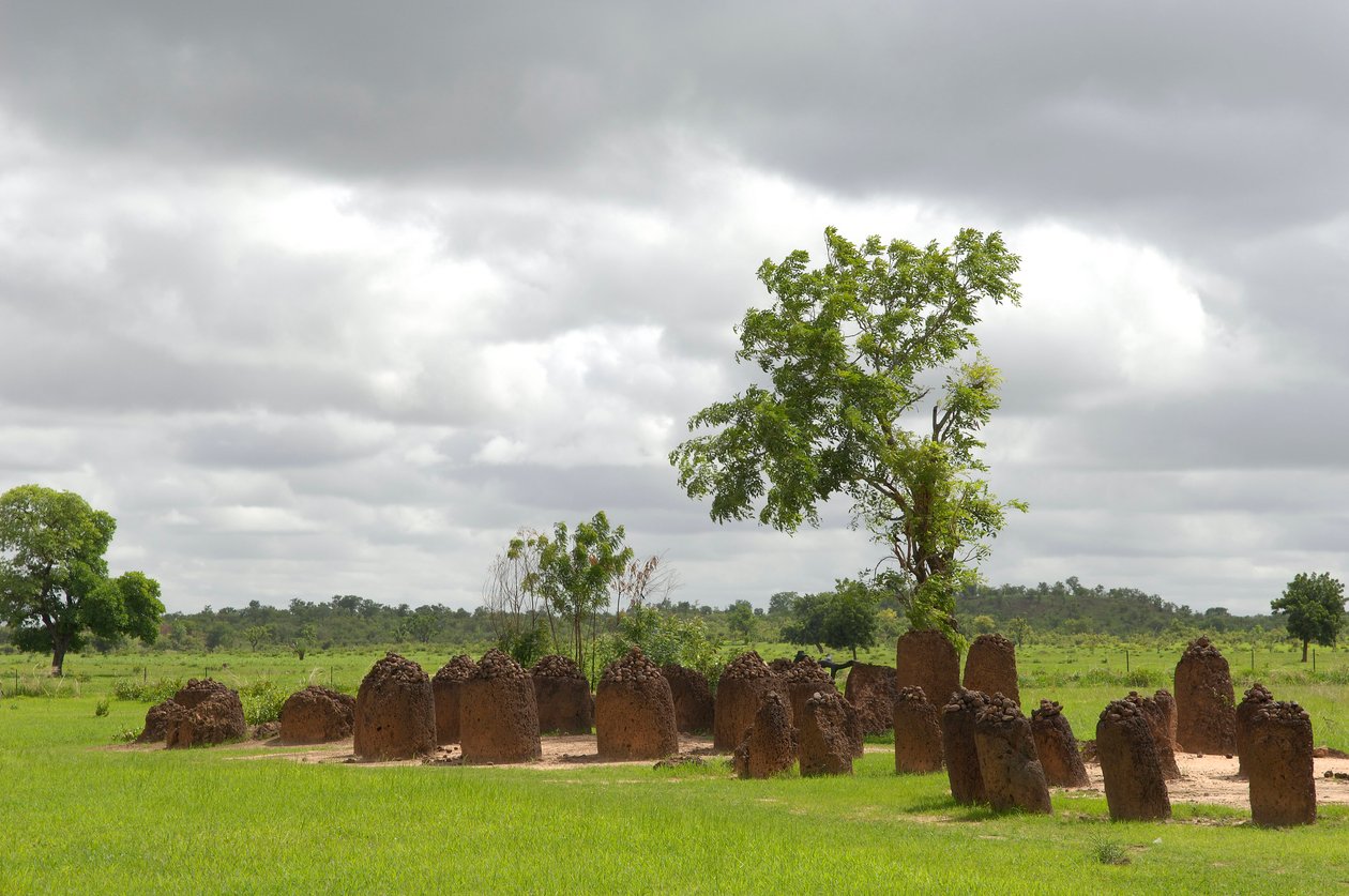 Prehistoria: Círculo megalítico de piedras de Wassu, Gambia (foto) de Prehistoric Prehistoric