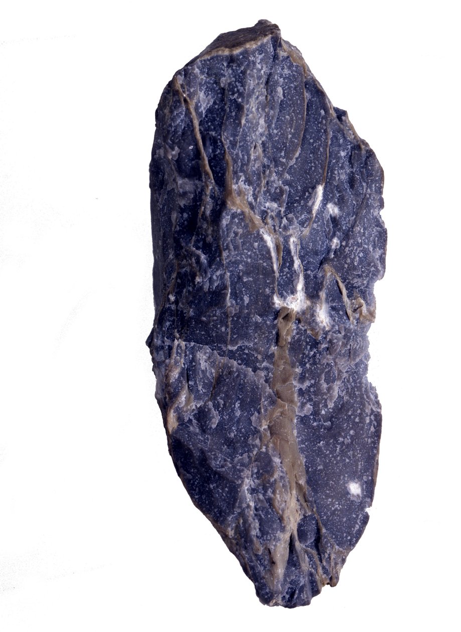 Prehistoria: Períodos del Arqueozoico o Precámbrico (Arcaico) fragmento de roca Collenia de tipo estromatolito. De los Estados Unidos. de Prehistoric Prehistoric