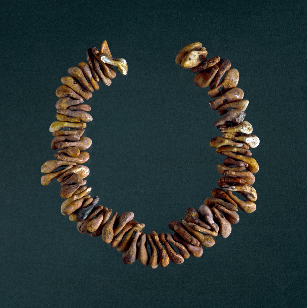 Prehistoria, Edad de Piedra: collar de huesos de la cueva de Polesine, Véneto. Roma, Museo Nacional Prehistórico Etnográfico Luigi Pigorini de Prehistoric Prehistoric