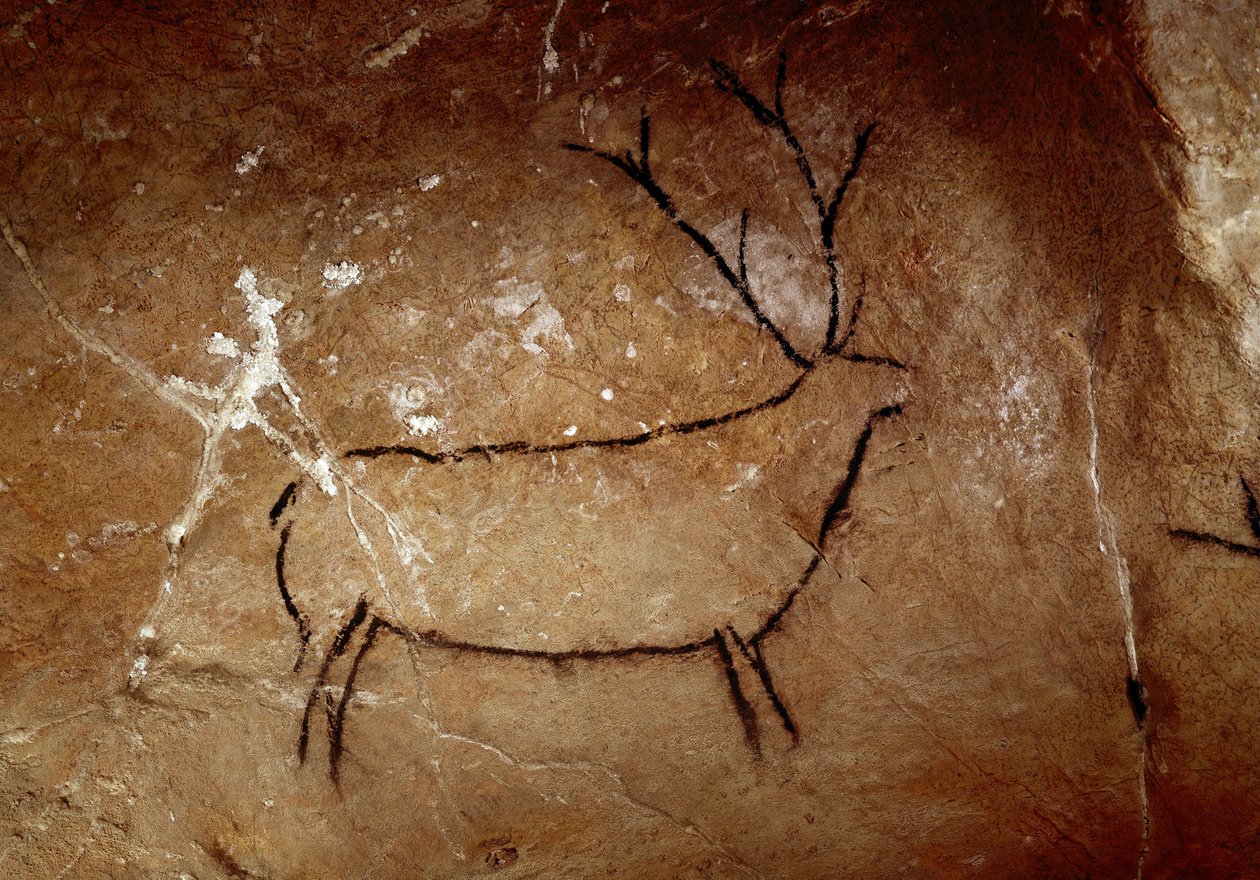 Prehistoria: un ciervo. Pintura rupestre del Paleolítico superior (Magdaleniense) (16,500 y 14,000 años atrás). Edad de piedra. Cueva de Las Chimeneas, Monte Castillo, España de Prehistoric Prehistoric