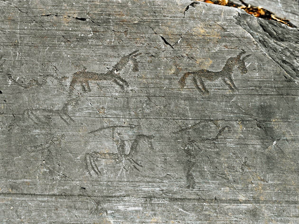 Prehistoria, civilización de los Camunni, arte rupestre: roca funeraria con escena de caza de Prehistoric Prehistoric