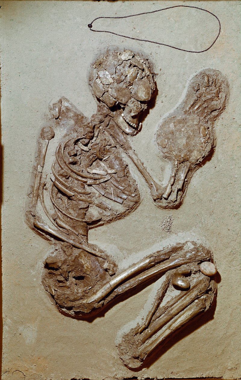 Prehistoria: esqueleto femenino que data del Neolítico Superior. Cultura de Chiozza. 2900-2700 a.C. Reggio Emilia, Musei Civici, Museo Chierici, Italia de Prehistoric Prehistoric