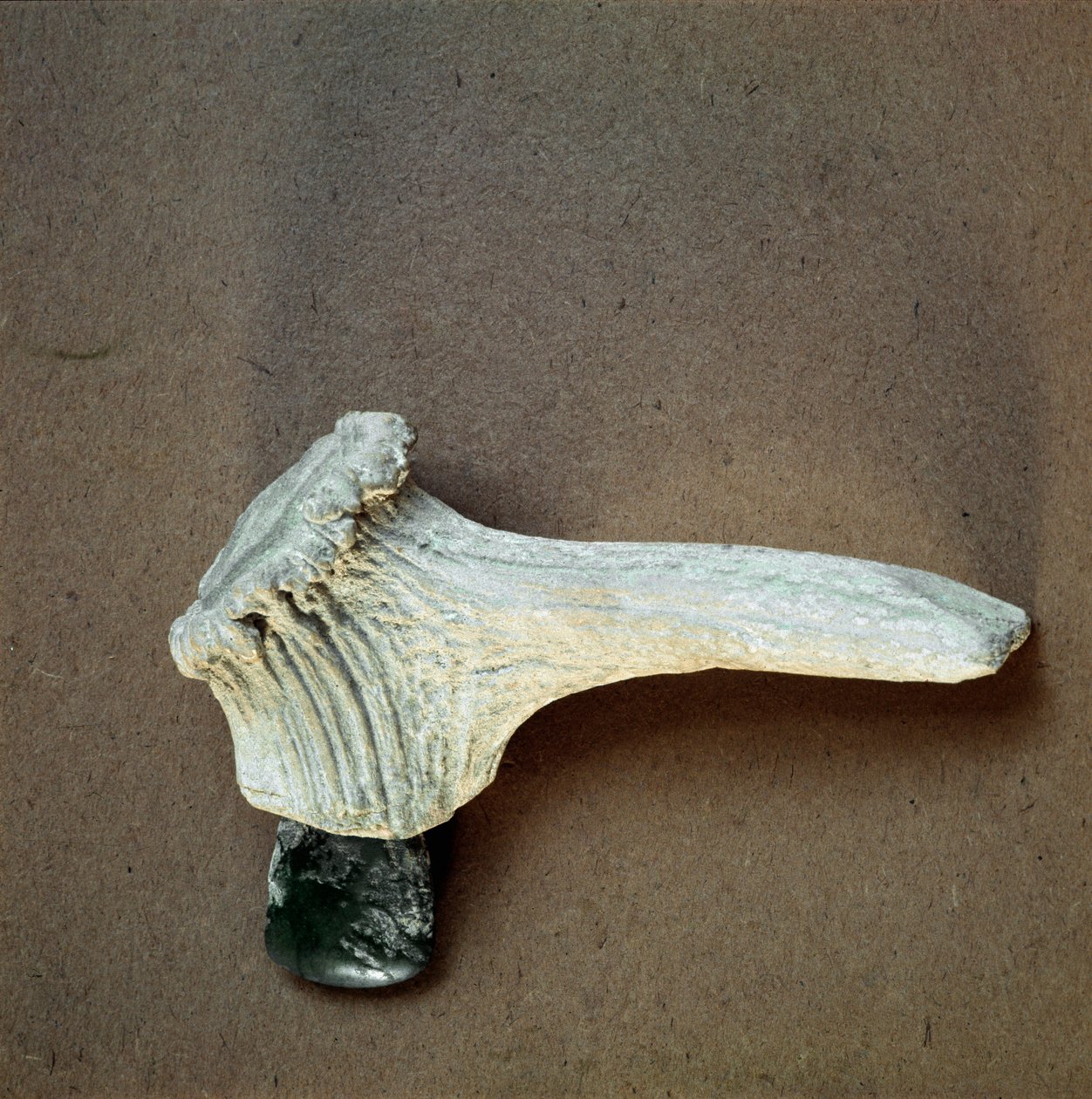 Prehistoria: hacha de piedra verde con mango de cuerno de ciervo de la cueva de Pollera (Finale Ligure), Liguria. Neolítico Medio, Edad de Piedra. Génova, Museo de Arqueología Ligure de Prehistoric Prehistoric